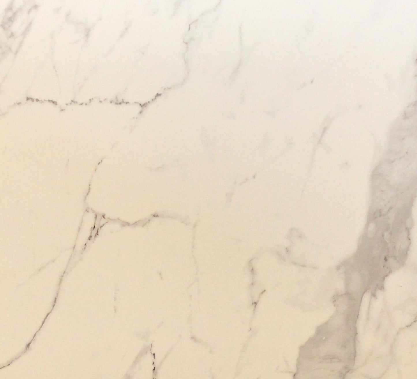 TP66-MA66110N Calacatta Matt 600x600 Porcelain Tile