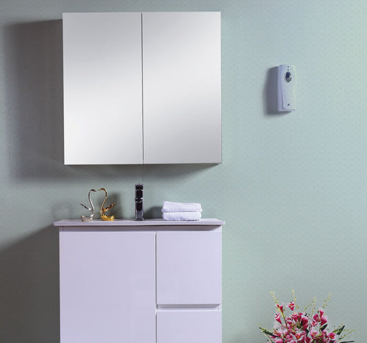 BMC-750 — Mirror Cabinet