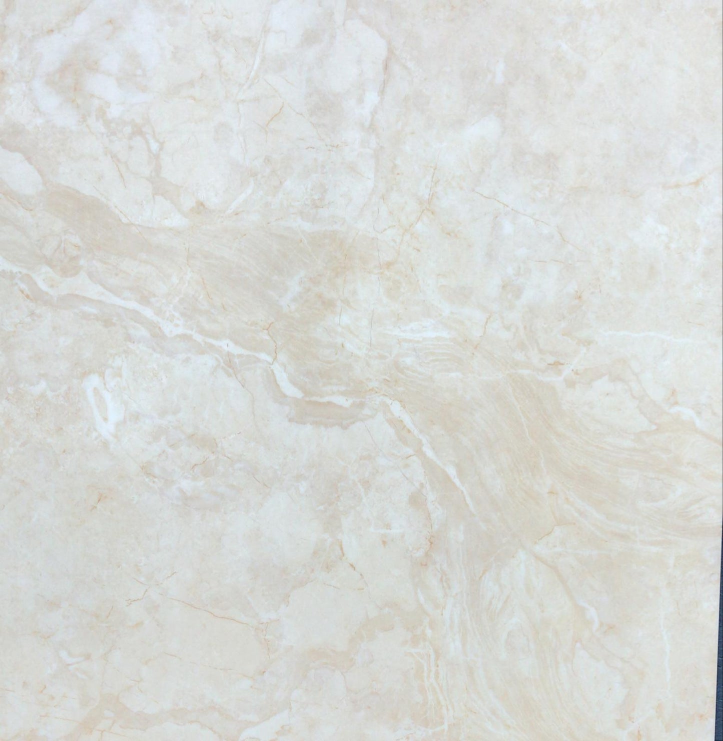 TP88-TZXVT81626 Cream Matt 800x800 Porcelain Tile