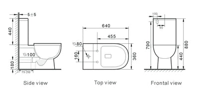 T6016 — Back to Wall RIMLESS Toilet Suite