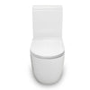 690*370*830mm Bathroom Rimless Back To Wall White Ceramic Toilet Suite