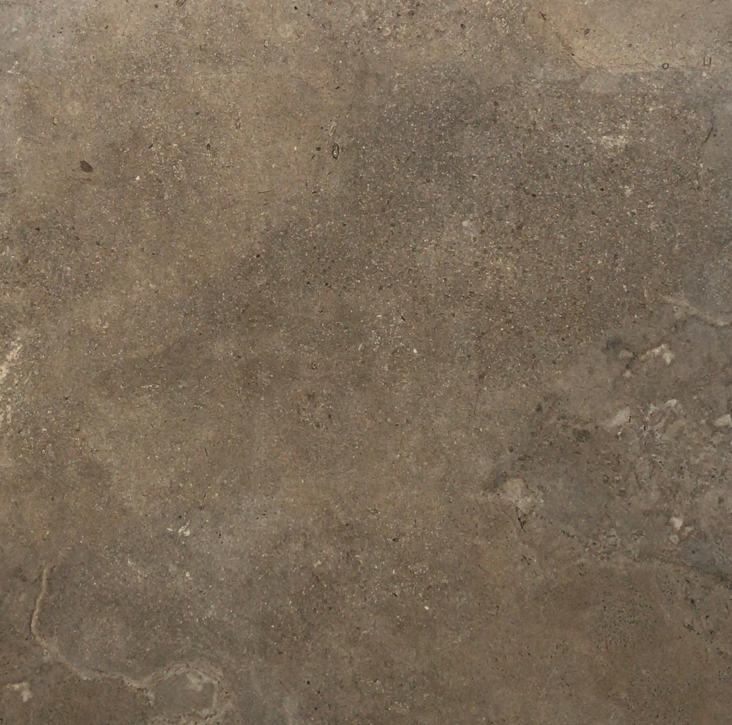 TP66-B206 600x600 Porcelain Tile